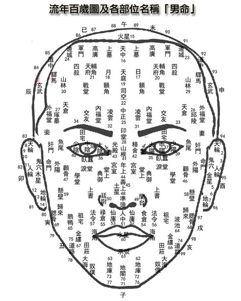 生意人面相|玄學面相︱邊種人做生意要賺到盡？做事穩打穩扎、懂得把握機會。